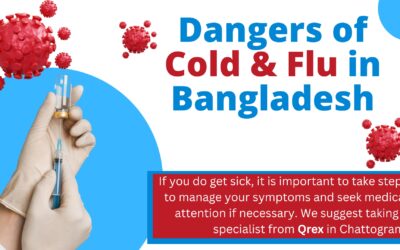 Seasonal Flu in Bangladesh for 2041: Challenges and Strategies